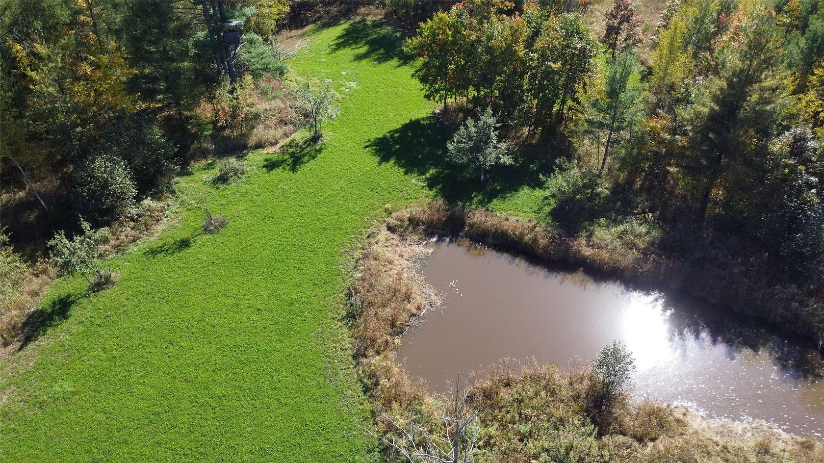 80 Acres of Recreational Land for Sale in Pittsville, Wisconsin