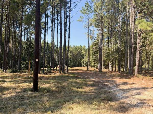 4 Acres of Residential Land for Sale in Douglass, Texas