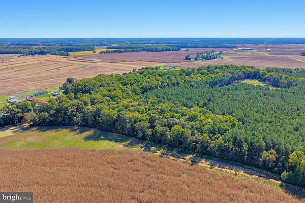 5 Acres of Residential Land for Sale in Frankford, Delaware
