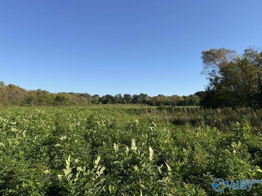 10.6 Acres of Land for Sale in Somerville, Alabama