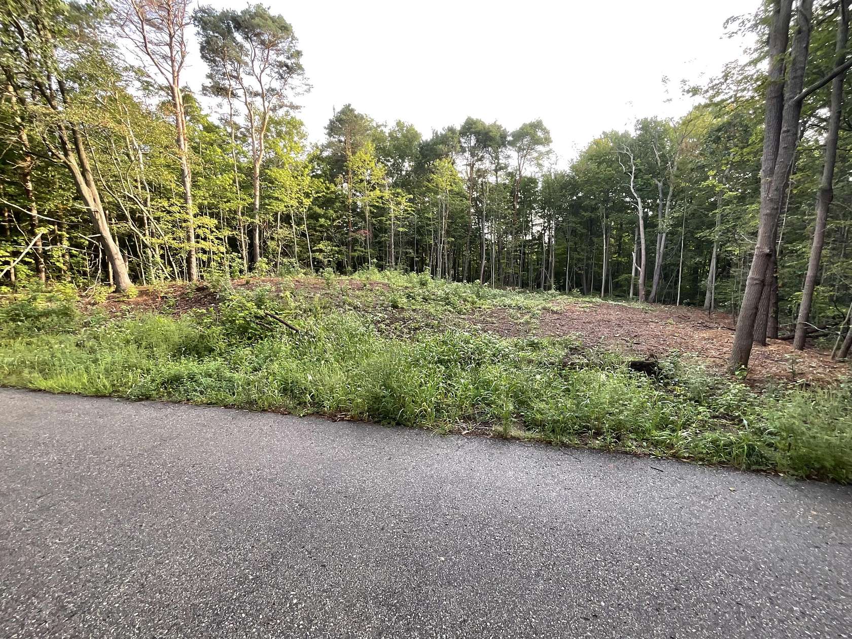 0.82 Acres of Land for Sale in Fennville, Michigan