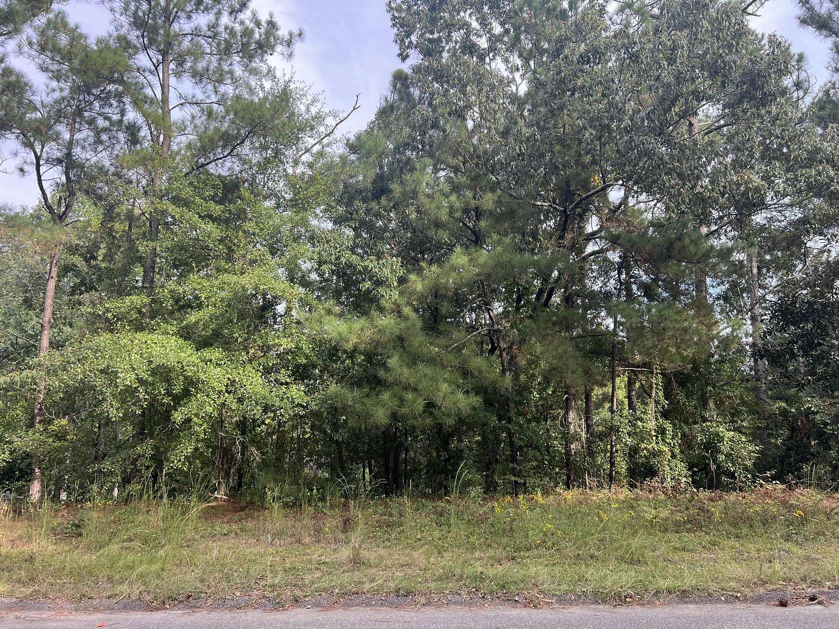 0.38 Acres of Residential Land for Sale in Aiken, South Carolina