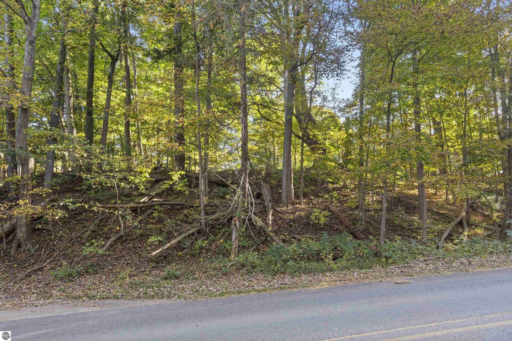 0.32 Acres of Land for Sale in Benzonia, Michigan