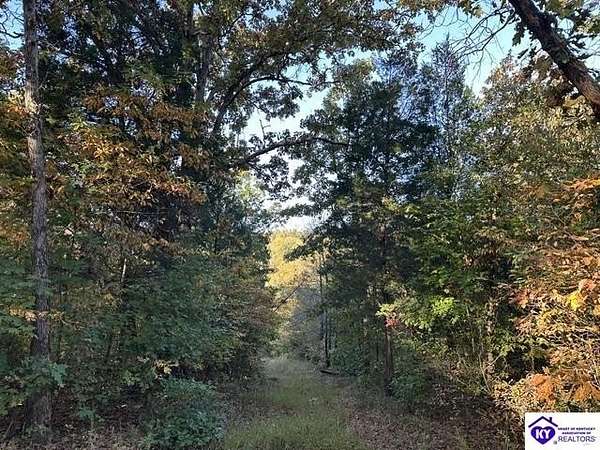 14 Acres of Recreational & Residential Land for Sale in Battletown, Kentucky