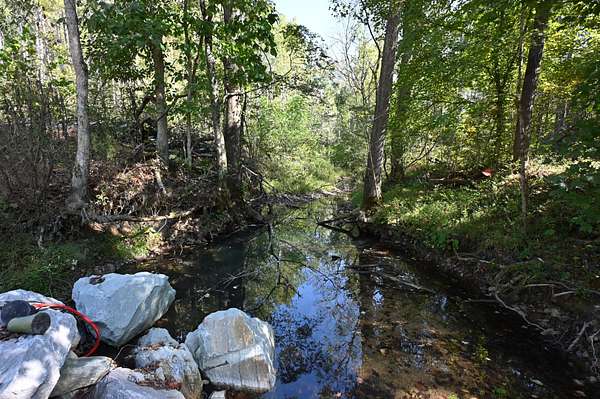 6.23 Acres of Land for Sale in Linden, Tennessee