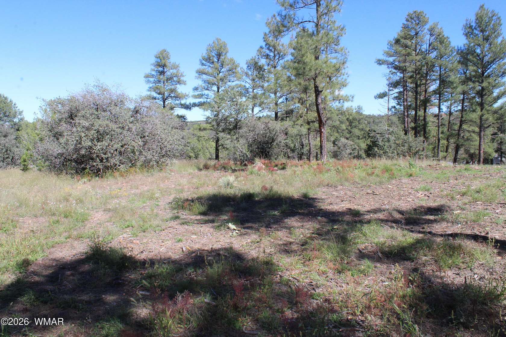 1 Acre of Residential Land for Sale in Show Low, Arizona