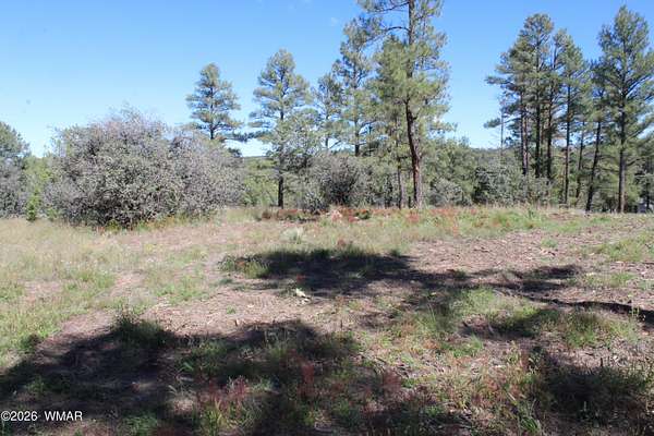 1 Acre of Residential Land for Sale in Show Low, Arizona