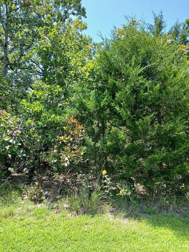 0.15 Acres of Land for Sale in Briarcliff, Arkansas