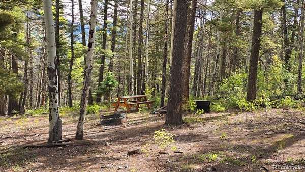 5.3 Acres of Land for Sale in Fort Garland, Colorado