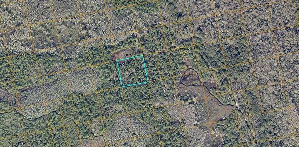 2.5 Acres of Residential Land for Sale in Oak Hill, Florida