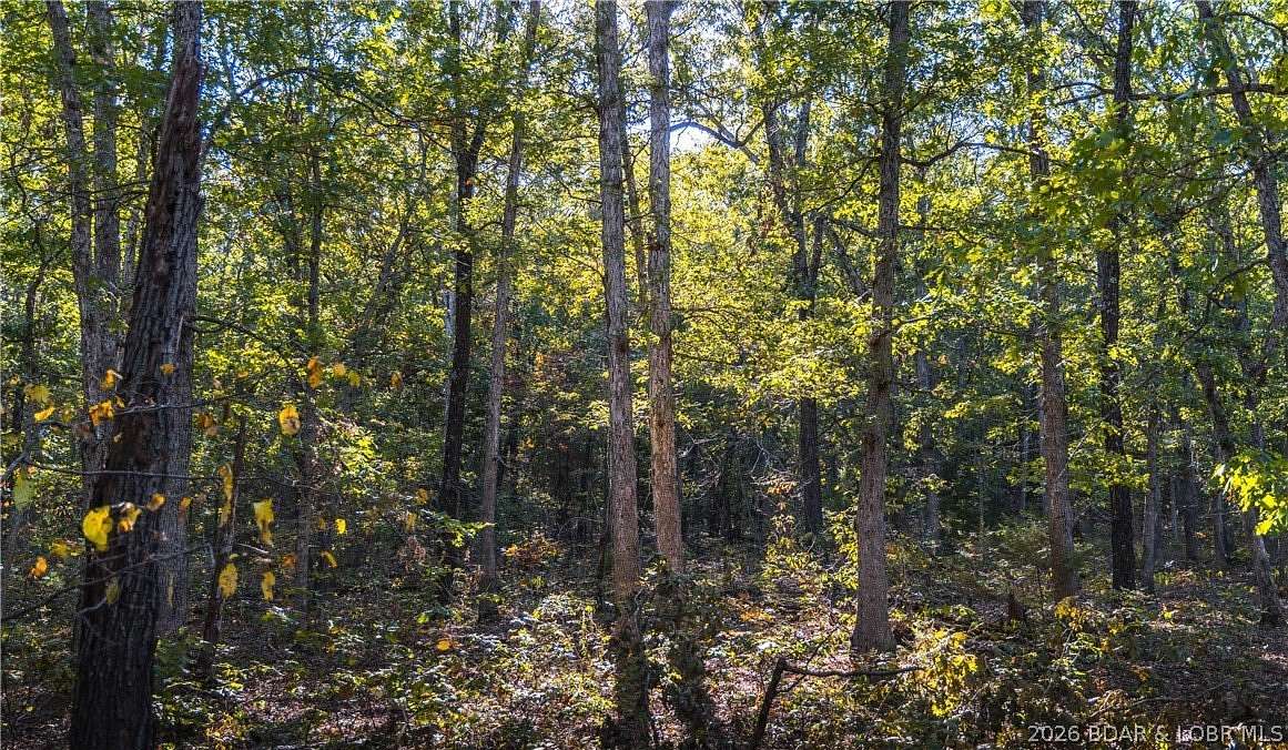 50 Acres of Recreational & Residential Land for Sale in Climax Springs, Missouri