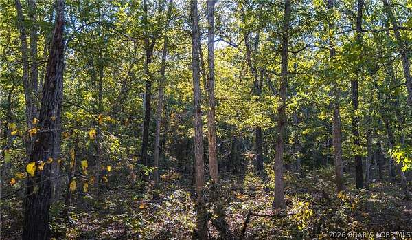 50 Acres of Recreational & Residential Land for Sale in Climax Springs, Missouri