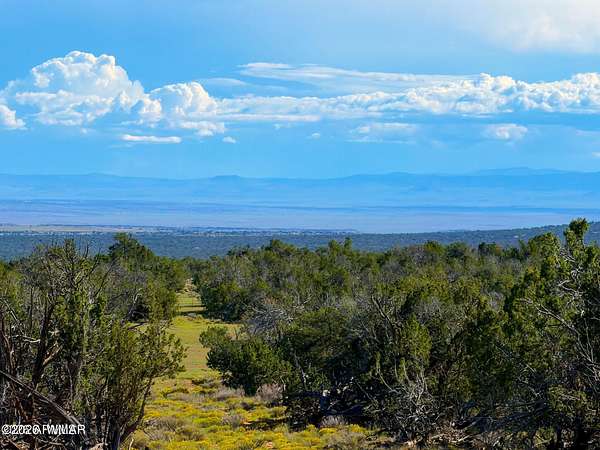 40 Acres of Recreational & Residential Land for Sale in St. Johns, Arizona