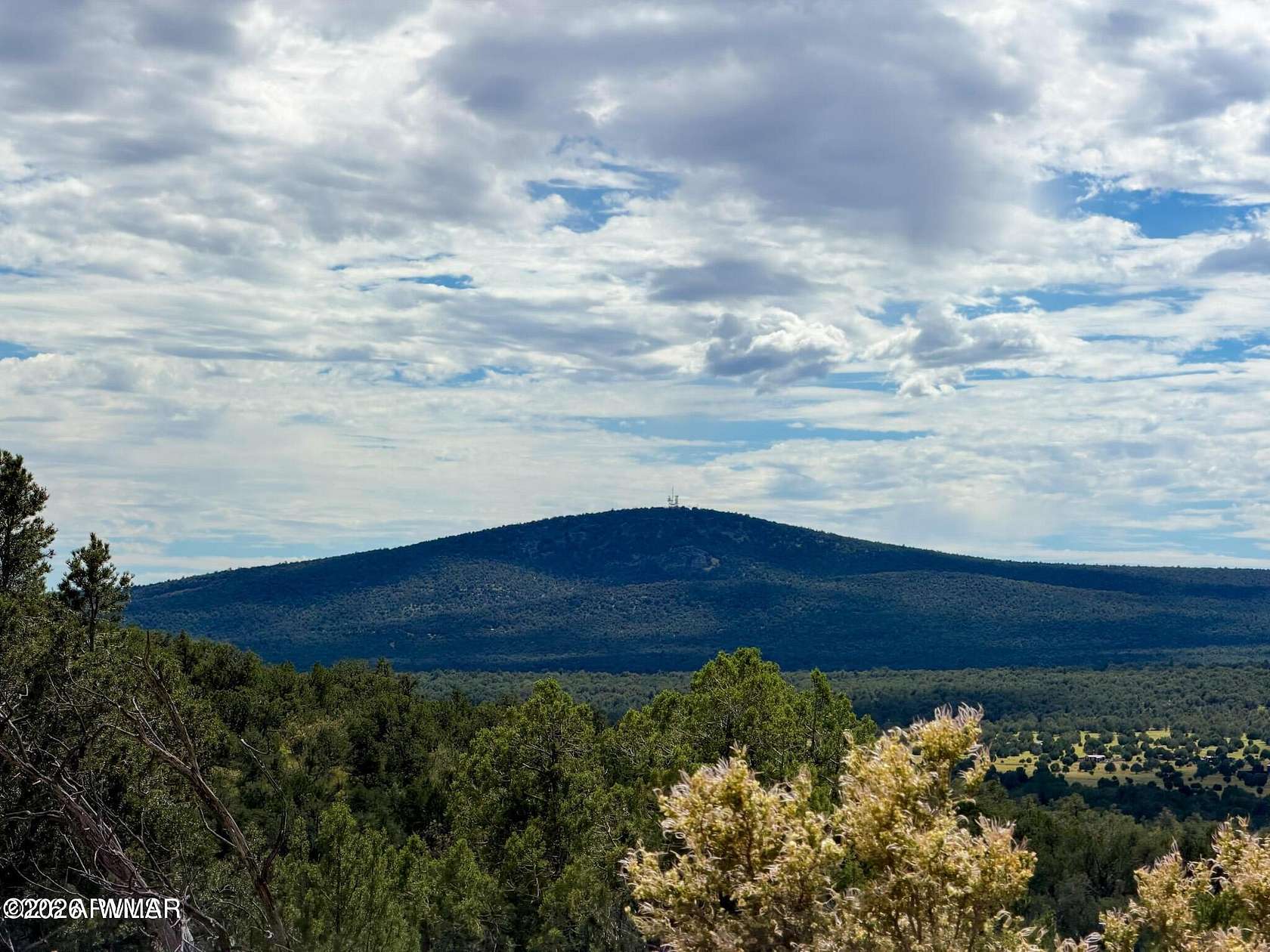 36.4 Acres of Recreational & Residential Land for Sale in Seligman, Arizona