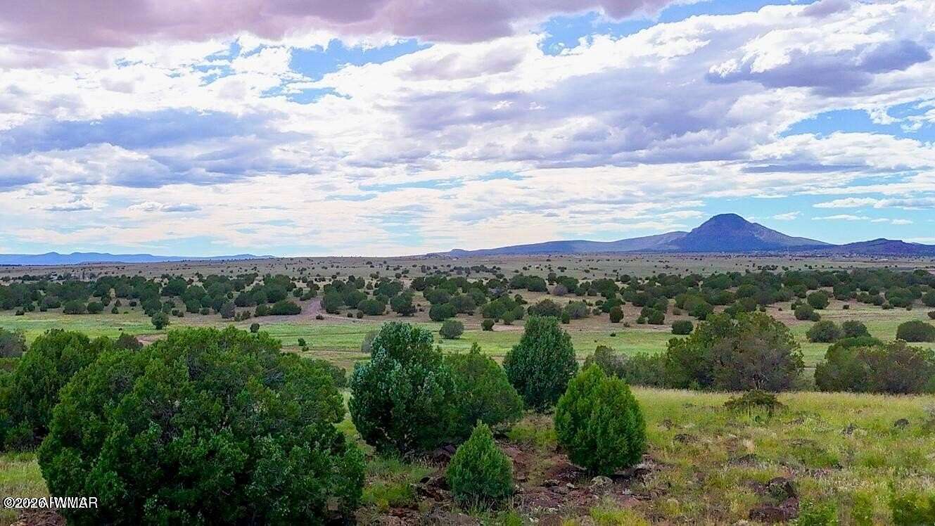 10 Acres of Recreational & Residential Land for Sale in Ash Fork, Arizona