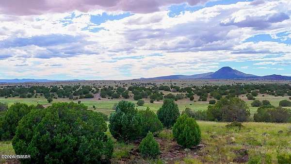 10 Acres of Recreational & Residential Land for Sale in Ash Fork, Arizona
