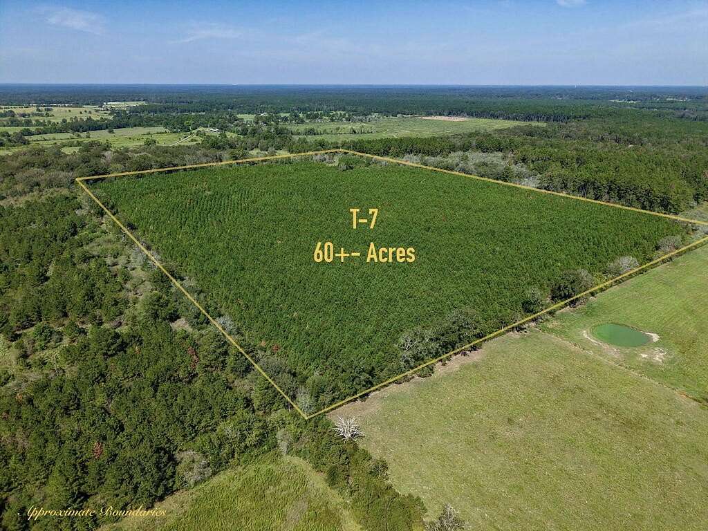 60 Acres of Recreational & Residential Land for Sale in Huntington, Texas