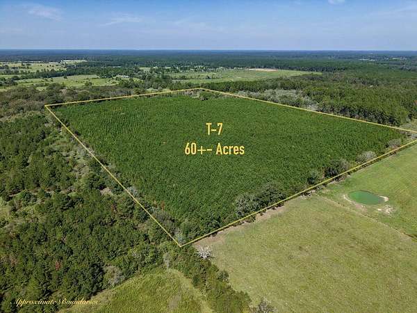 60 Acres of Recreational & Residential Land for Sale in Huntington, Texas