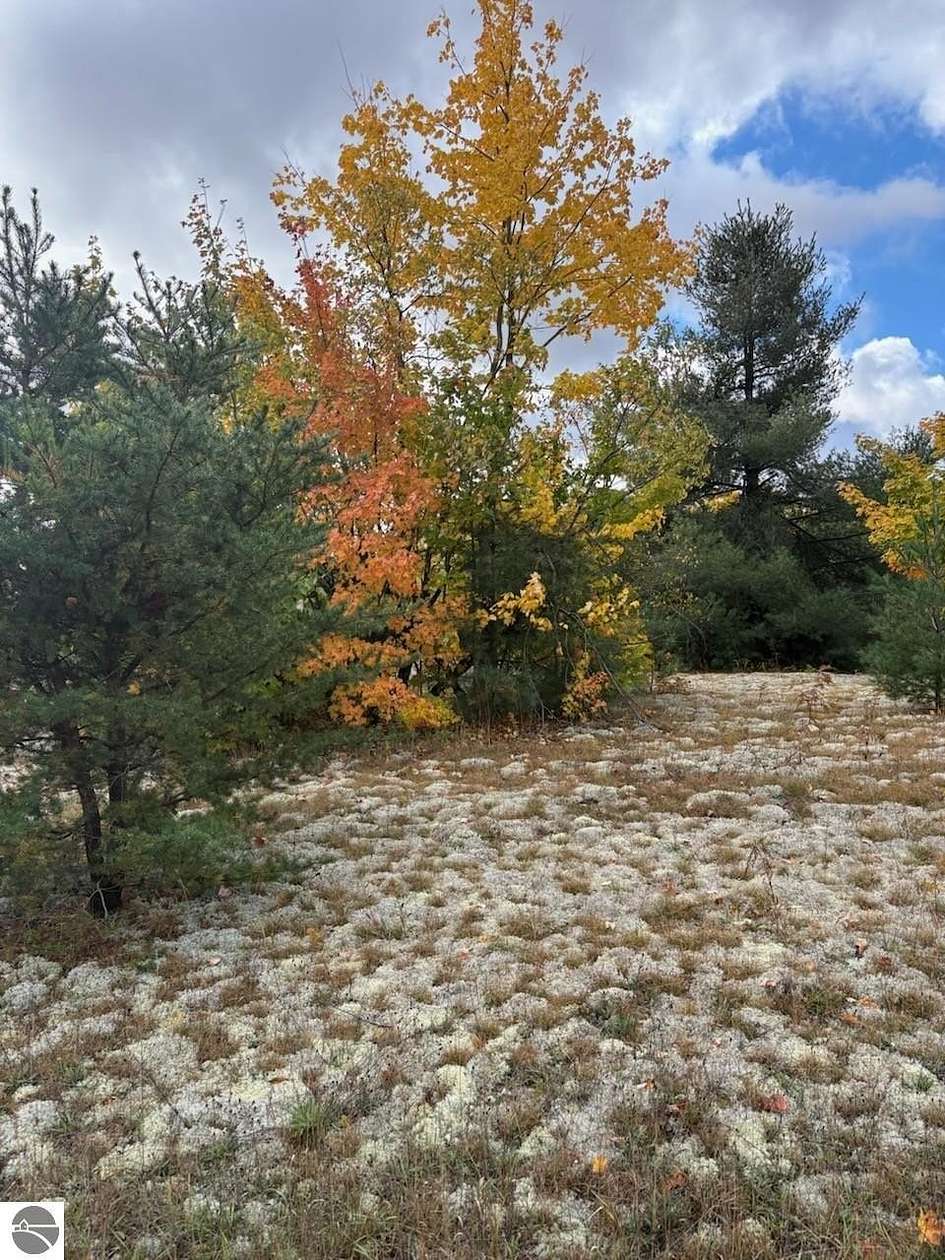 4.78 Acres of Residential Land for Sale in Gaylord, Michigan