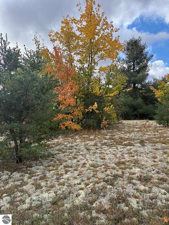 4.78 Acres of Residential Land for Sale in Gaylord, Michigan