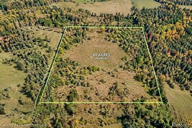 39.5 Acres of Recreational & Residential Land for Sale in Case Township, Michigan