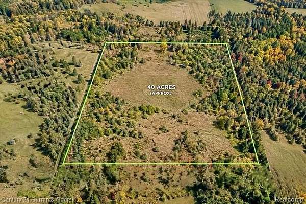 39.5 Acres of Recreational & Residential Land for Sale in Case Township, Michigan