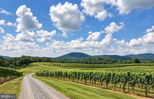 20 Acres of Agricultural & Residential Land for Sale in Woodville, Virginia