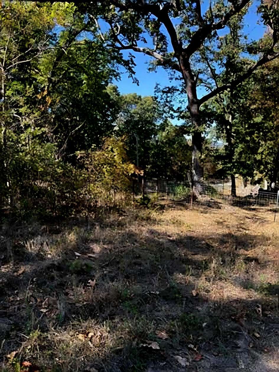 17.5 Acres of Land for Sale in Cabool, Missouri