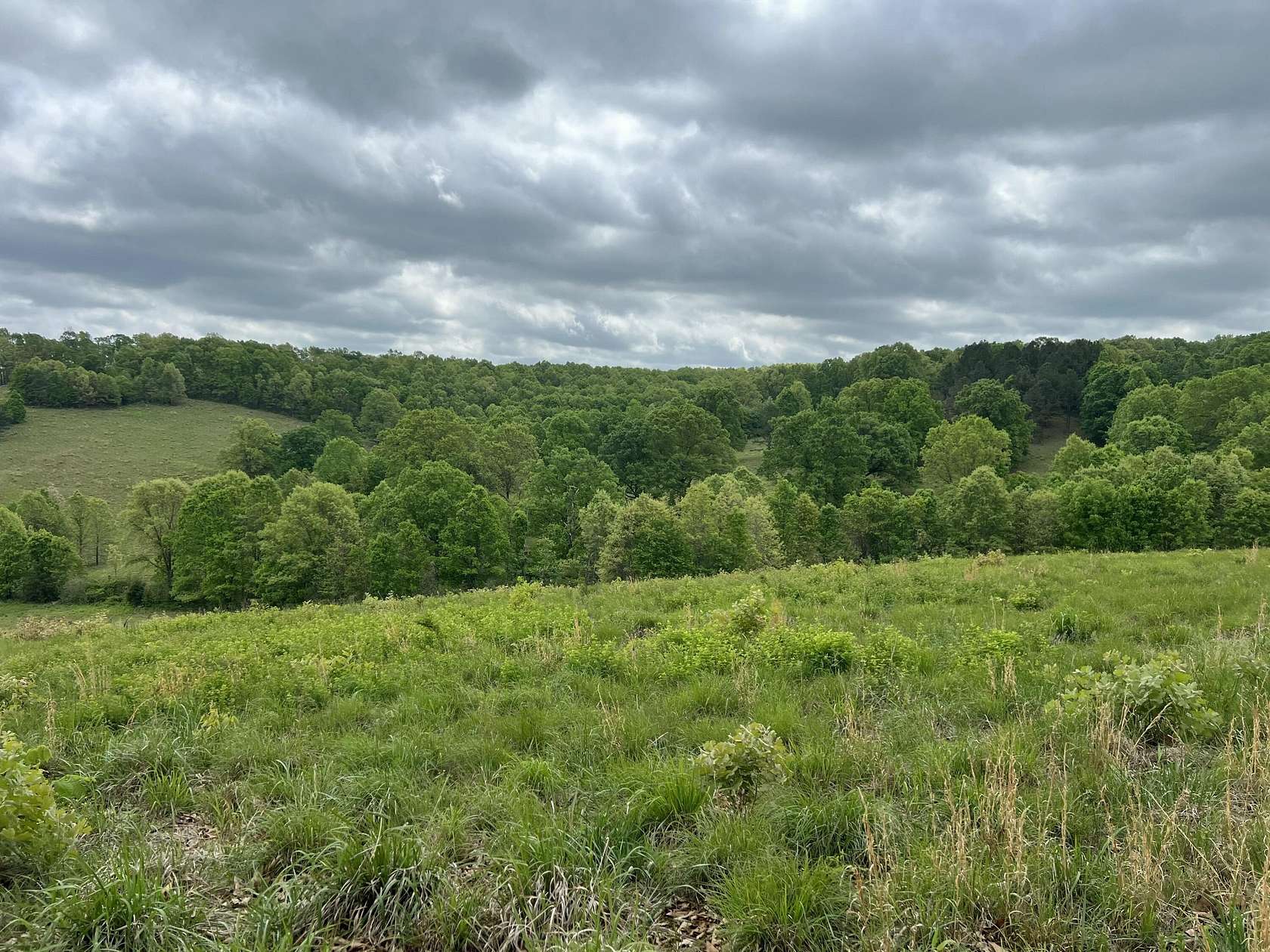 80 Acres of Recreational Land for Sale in Ava, Missouri