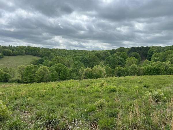 80 Acres of Recreational Land for Sale in Ava, Missouri