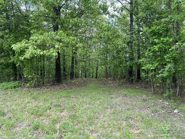 40 Acres of Recreational & Residential Land for Sale in Ava, Missouri