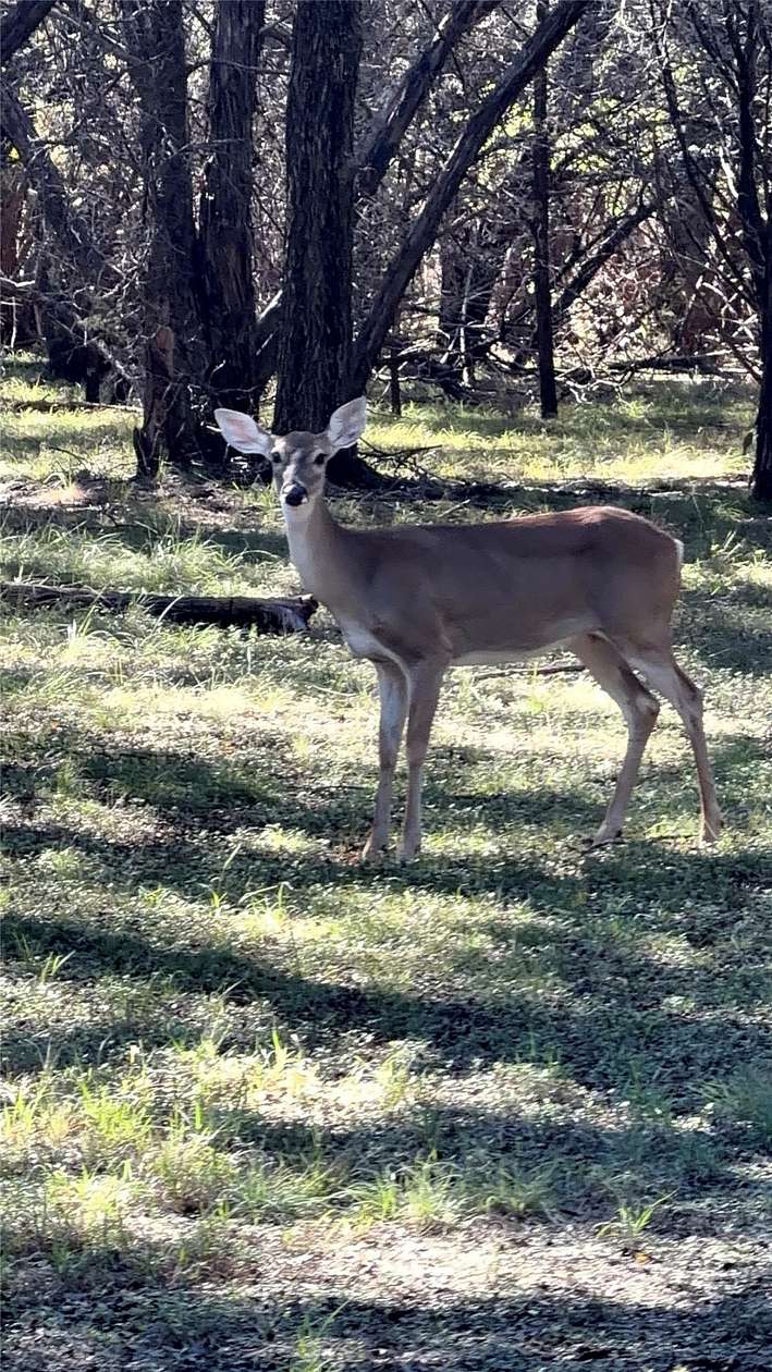 3 Acres of Land with Home for Sale in Valley Mills, Texas