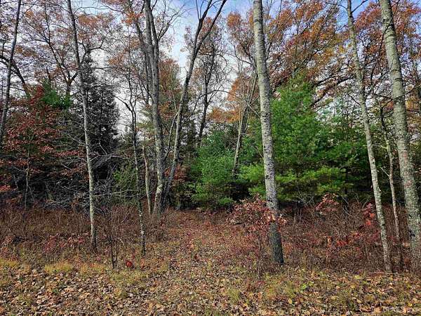2.79 Acres of Residential Land for Sale in Dunbar Town, Wisconsin