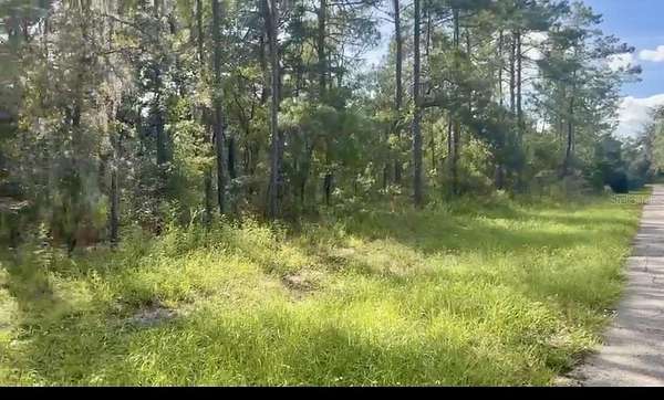 1.29 Acres of Residential Land for Sale in Ocala, Florida