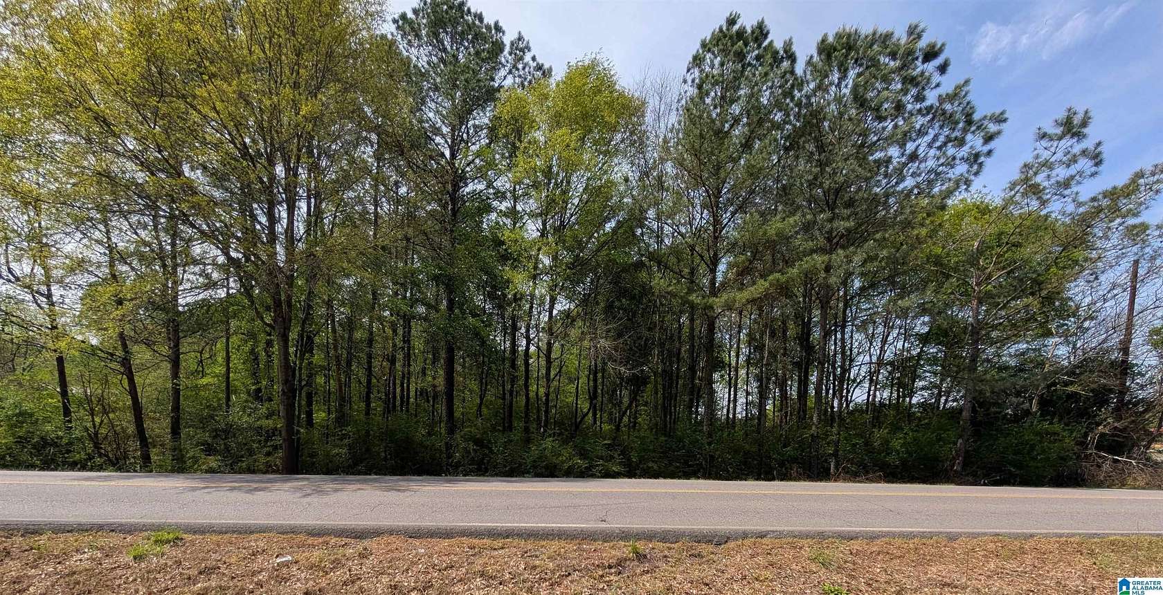 1.5 Acres of Residential Land for Sale in Adger, Alabama