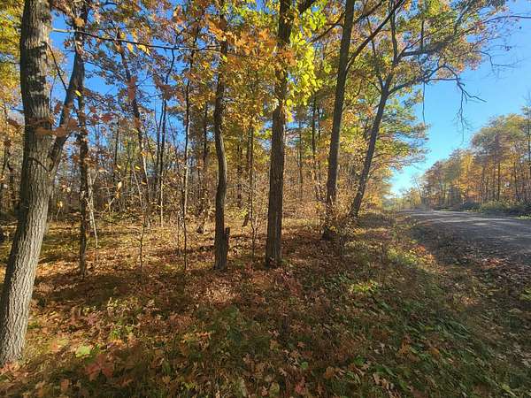 30 Acres of Recreational Land for Sale in Isle, Minnesota