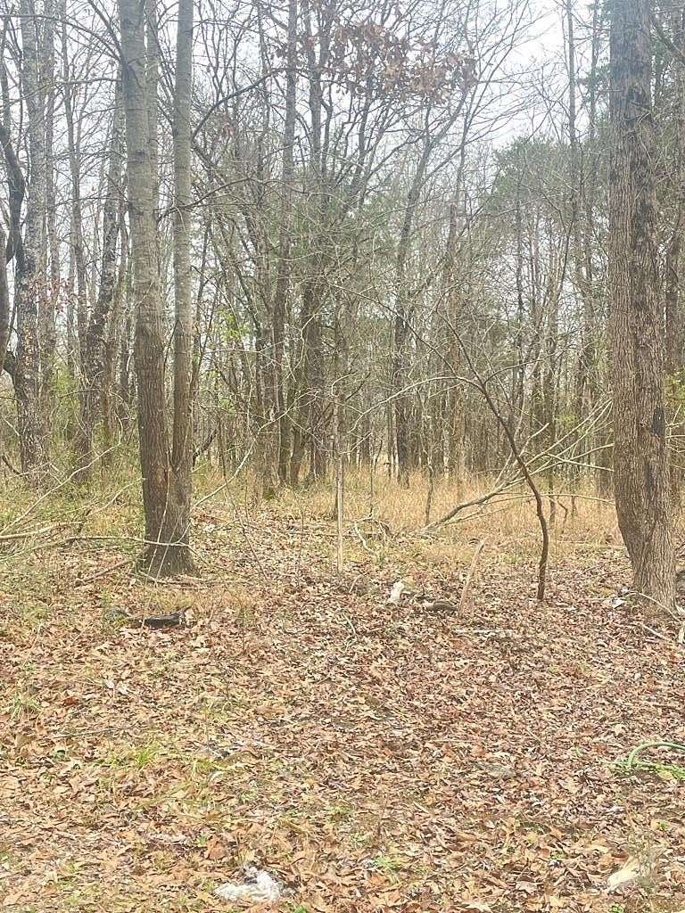 1 Acre of Residential Land for Sale in Byhalia, Mississippi