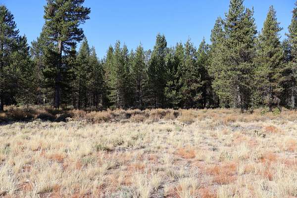 4.34 Acres of Commercial Land for Sale in Chemult, Oregon