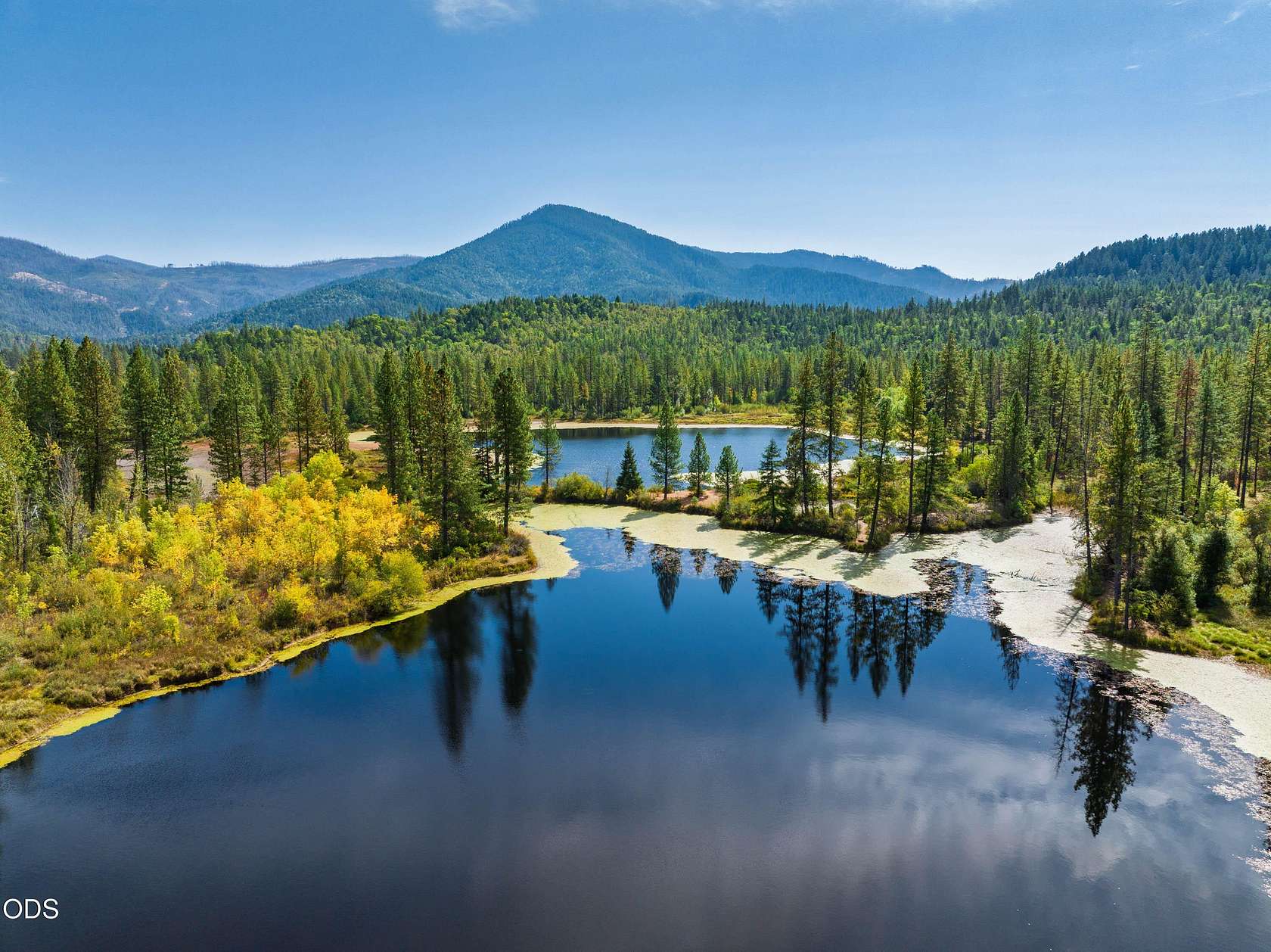 460 Acres of Recreational & Residential Land for Sale in Cave Junction, Oregon