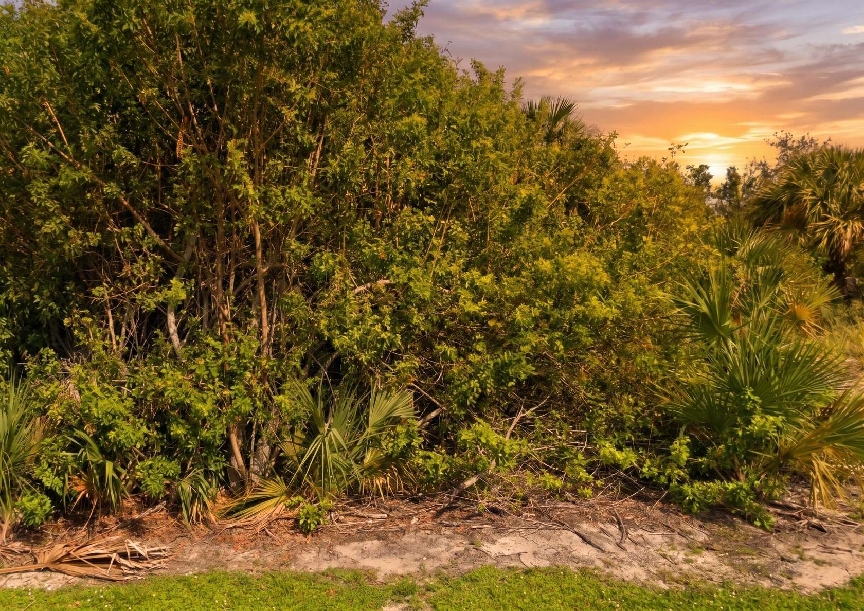 0.13 Acres of Residential Land for Sale in Vero Beach, Florida