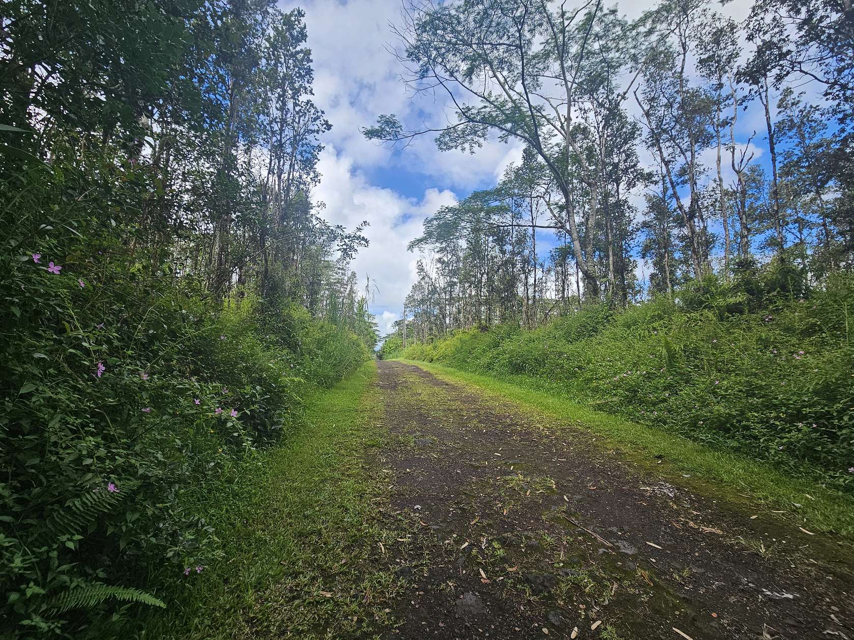 0.19 Acres of Residential Land for Sale in Pahoa, Hawaii