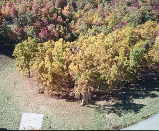 Land for Sale in Jamestown, Tennessee