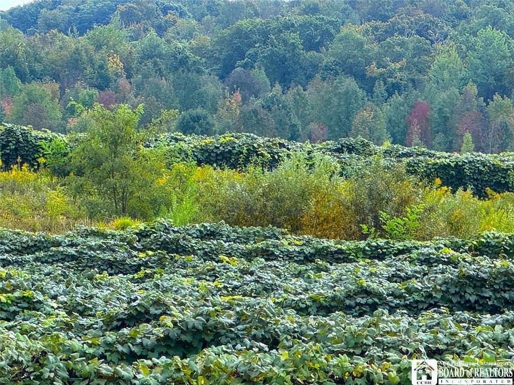 100 Acres of Land for Sale in Westfield, New York