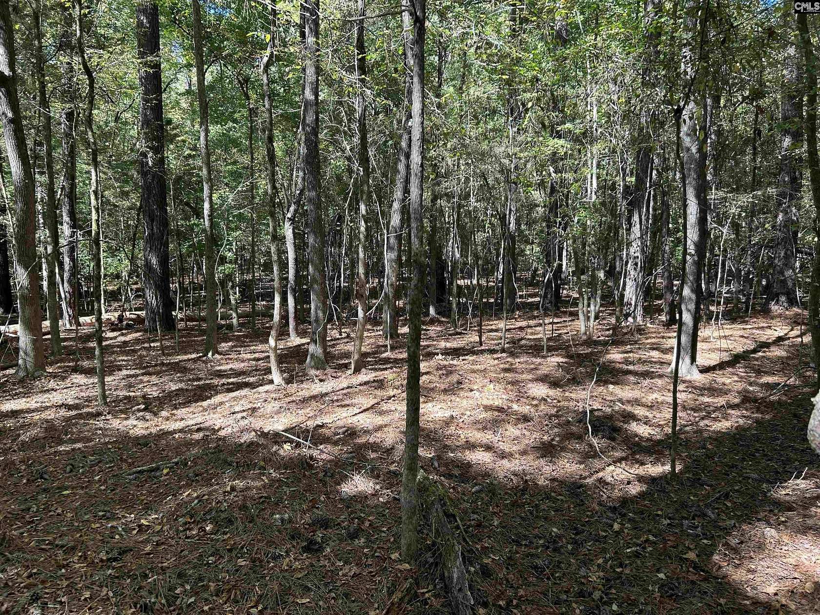 2.57 Acres of Land with Home for Sale in Chapin, South Carolina