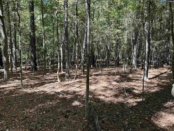 2.57 Acres of Land with Home for Sale in Chapin, South Carolina