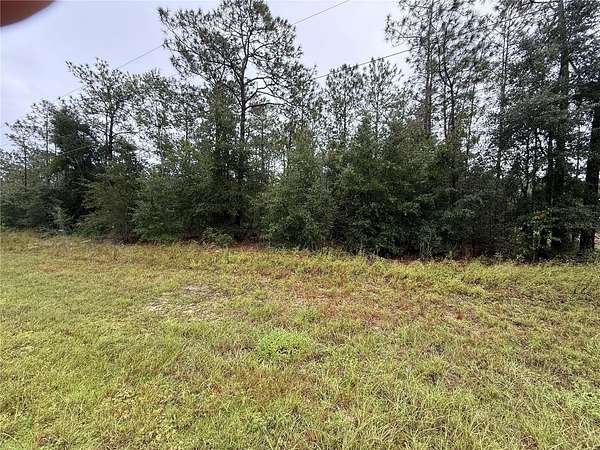 1 Acre of Commercial Land for Sale in Ocala, Florida