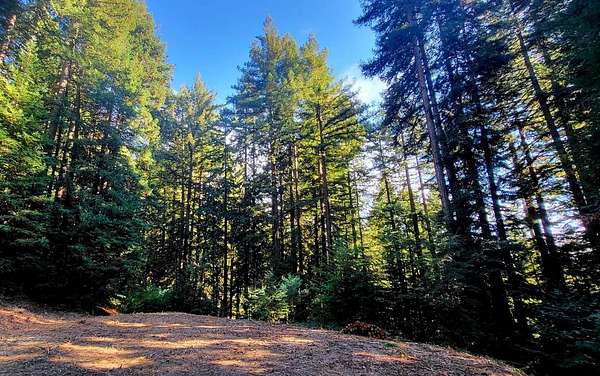 5.7 Acres of Residential Land for Sale in Los Gatos, California