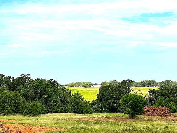 40 Acres of Land for Sale in Poolville, Texas
