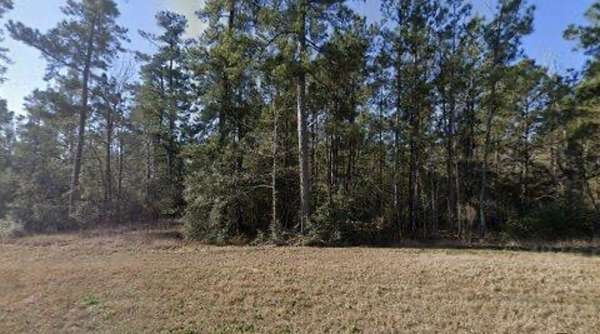 1 Acre of Residential Land for Sale in New Waverly, Texas