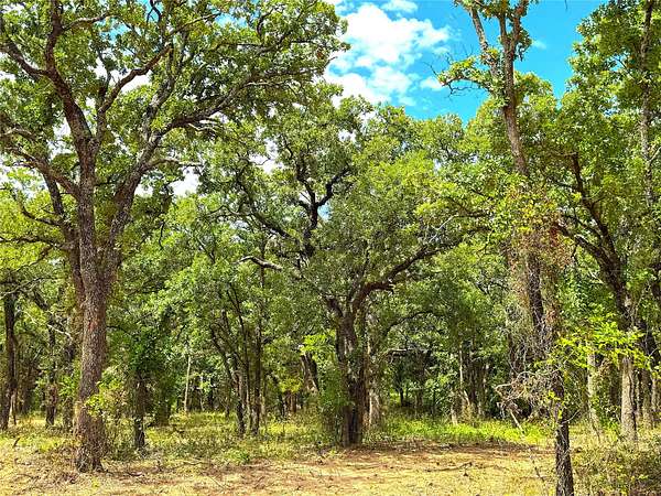 15 Acres of Land for Sale in Poolville, Texas
